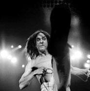 Iggy Pop
